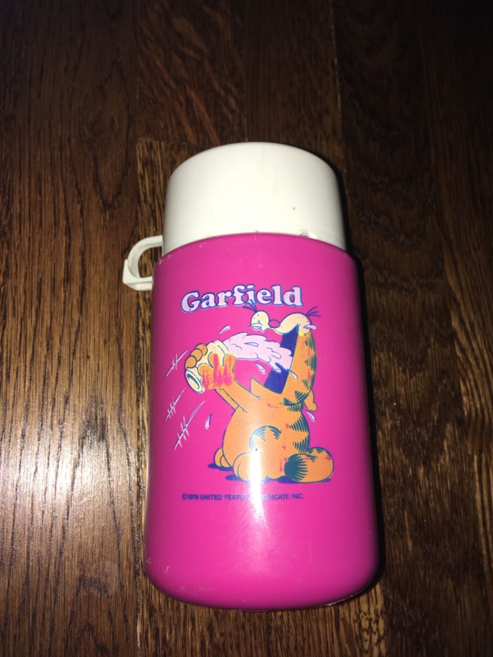 Garfield Pink Vintage Cartoon Thermos